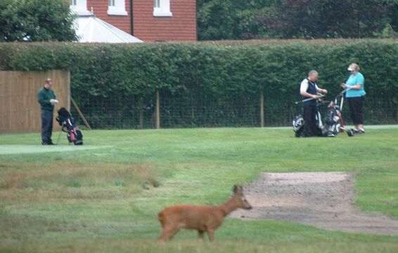 12th Tee to 10th Green